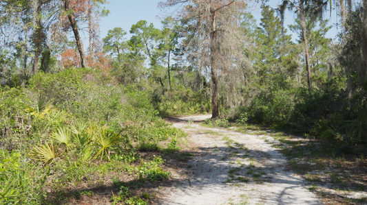 Handheld CGI VFX Footage with HDRI