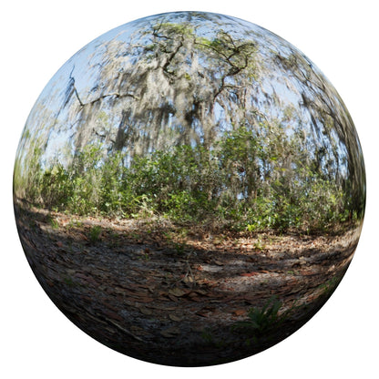 Forest CGI VFX Footage with HDRI