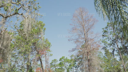 Handheld CGI VFX Footage with HDRI