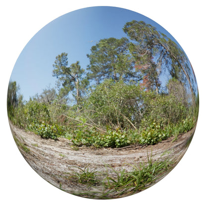 Handheld CGI VFX Footage with HDRI