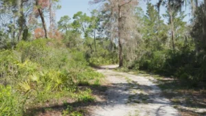 Handheld CGI VFX Practice Footage with HDRI