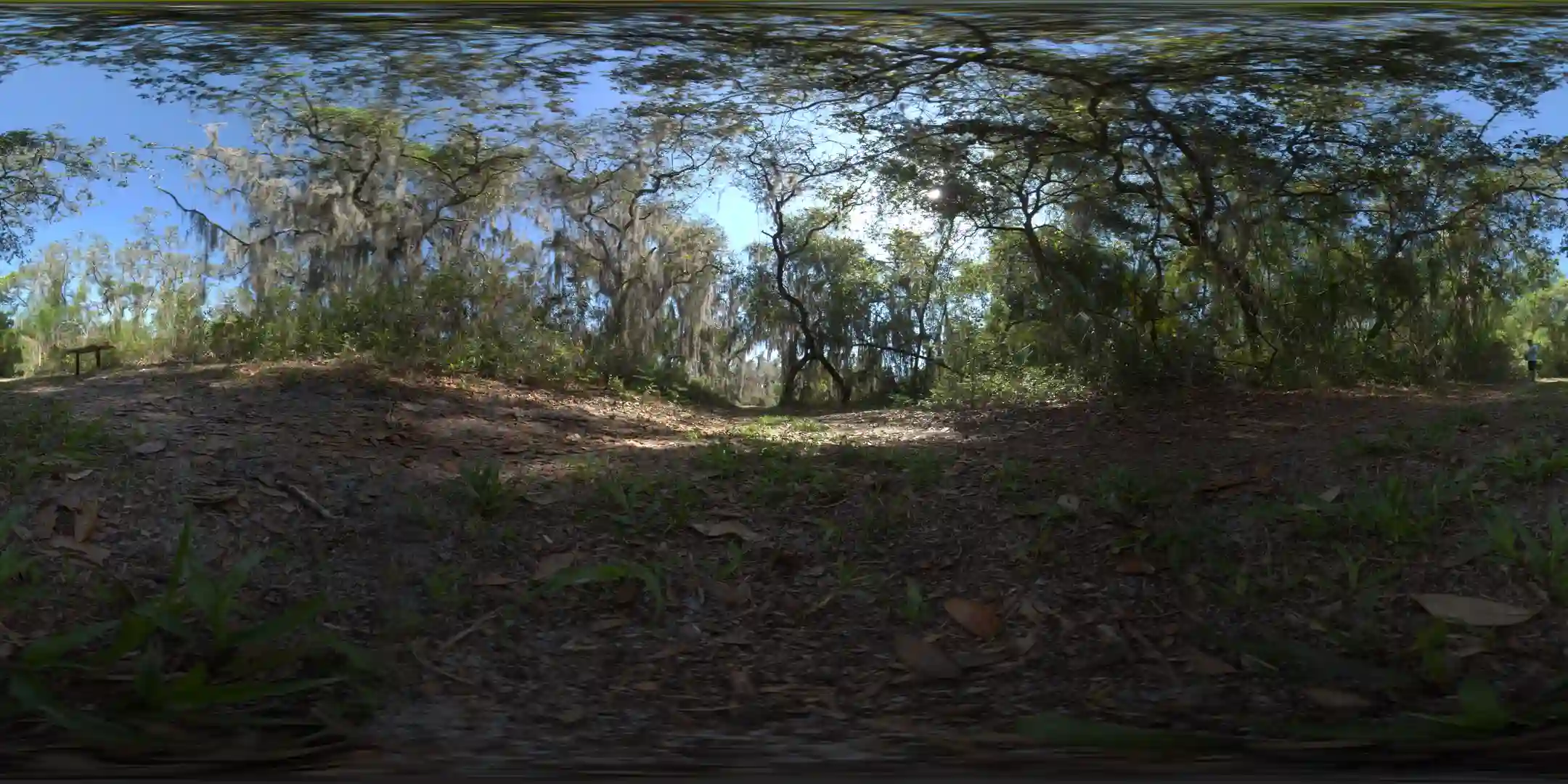 Forest CGI VFX Practice Footage with HDRI - Image 2